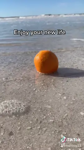 🍊😅 #fruit #LeadWithLove #DontQuitYourDaydream #viral #UltaSkinTok Music: @teddyroyg