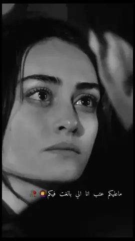 #مليون_اسف #حسام الرسام #fyp #اكسبلور #رامو_سيبال #تصاميم #عراقيات