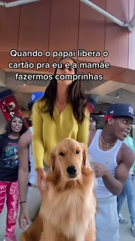 Quem mais? #soquemviveusabe #memes  #dog #goldenretriever
