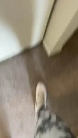 Reply to @the_official_kakashi getting 3 more this weekend.. 👀