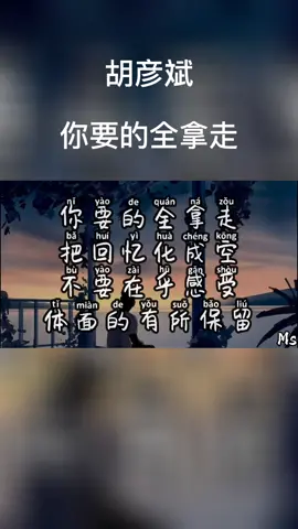 你要的全拿走【伴奏版已在频道上线囖】#伤 #分享音樂 #来听歌 #拼音 #歌词 #歌词系列 #来听 #胡彦斌 #你要的全拿走