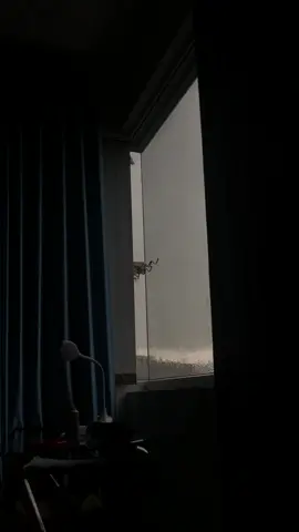 video k chữ đây mng