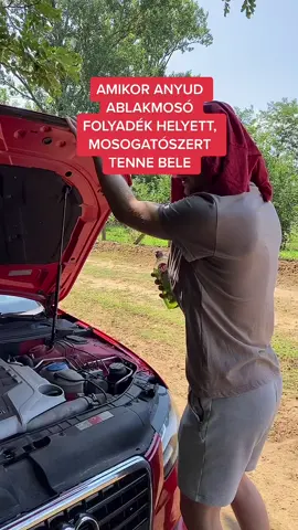 #fy #foryou #foryoupage #fyp #tiktok #funny #joke #mom #mother #car
