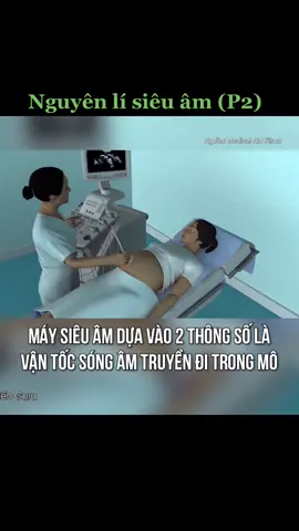 Nguyên lí siêu âm (P2) #lithaytuyen #vatli #ONhaOnThi #LearnOnTikTok #onhavanvui