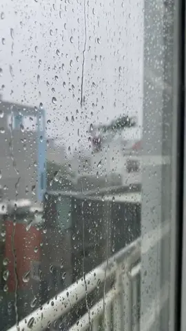 Tiếng mưa nghe dễ chịu ghê. Một buổi sáng chủ nhật ngủ dậy và trời mưa. Nằm quấn chăn ngắm mưa qua cửa sổ 😍 #daebak #rain
