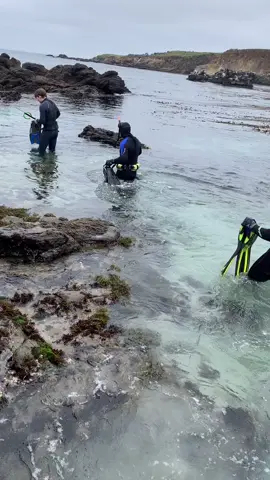 Playa 🏖 #fyp #beach #beachvibes #fypシ #cute #cool #carmelbeach #california