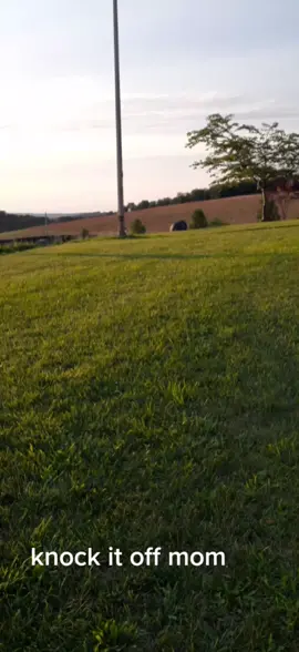 love sneaking up on him#pigsoftiktok #minipigoftiktok #animal##relaxify #freshair #anim #minipig