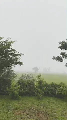 เมืองกรุงเป็นยังไงกันบ้าง บ้านนอกตอนนี้ฝนตกหนักมาก #ให้ทายว่าจังหวัดอะไร #วัยรุ่นบ้านนอก #ชอบทุกครั้งที่ฝนตก🌧🌧