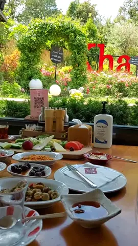 فطور شي ناهي في بورصه🥰 #فطور #صباح #صباح_الخير #اكل #طعام #بورصه #بورصا