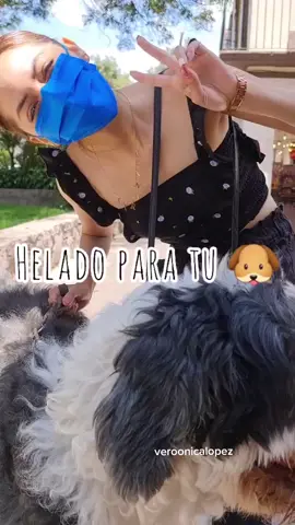 Helado para tu perrito 🐶🍦#lugarescdmx #cdmx #petfriendly