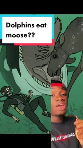 Reply to @daniellelevy35 This is why they’re the biggest menace to society #moose#orca#education#DidYouKnow