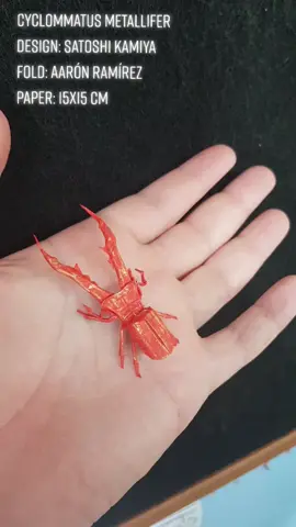 #origami #art #insects #satoshi