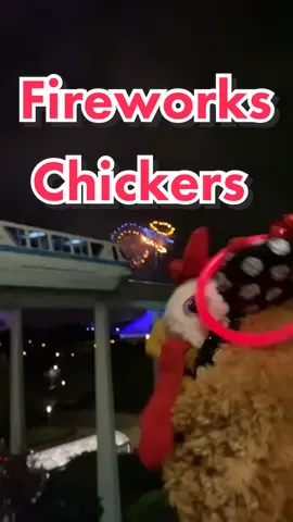 So around #4thofjuly #MrsChickers went to see #disneyfireworks from the #contemporaryresort by the #monorail #disneyworld #puppets