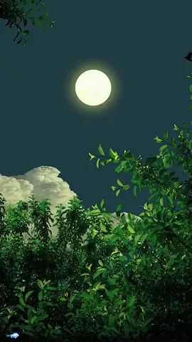 #scenery