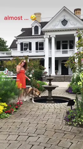 HAPPY MONDAY, TIKTOK FAM ❤️🙏❤️ #QuickBooksVictoryPose #monday #oops #onthejob  #dogs
