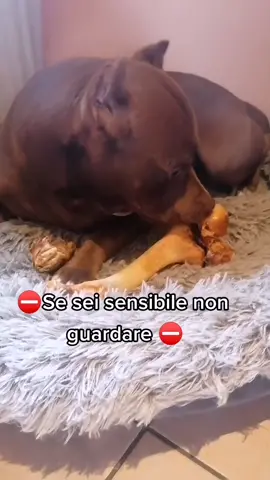 Non doveva andar così, ig: lucaugolini__