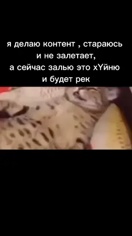 Пни если рек) #fyp #fyr #on #мем #мемы #жиза