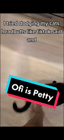 wait for it, Ofi shows how #petty she is 😂 #QuickBooksVictoryPose #voidcat #blackcat#catsoftiktok#fypシ #catlover