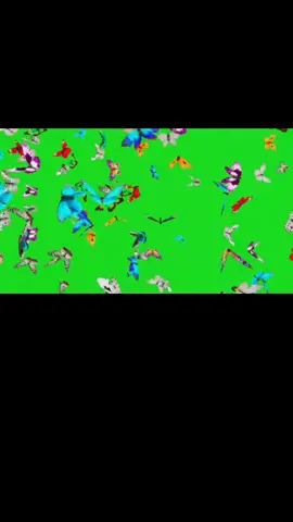 #soudonadaminhavoz #chromakey #chromakeyeffect #chromakeys #chromakeycapcut #fundoverde #borboleta #chromakeygreen #chromakeymouthmusic #chromakeye