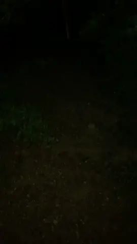 A walk through the woods at night featuring a lightning bug. If I see the opportunity, I was told to take a walk in the #woods. #hike #night #asmr