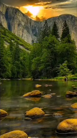 #вторник #добрыйвечер #миллионалыхроз