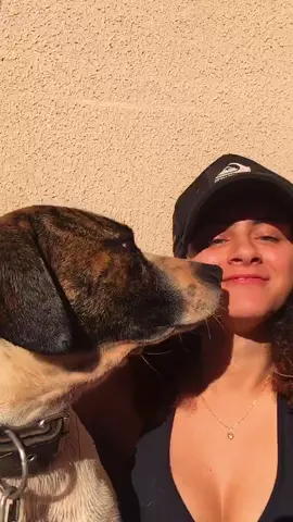 Era pra ser um vídeo biscoitando aí ele sentou do meu lado o roubou a sena kkkk #doguinho #bicoito