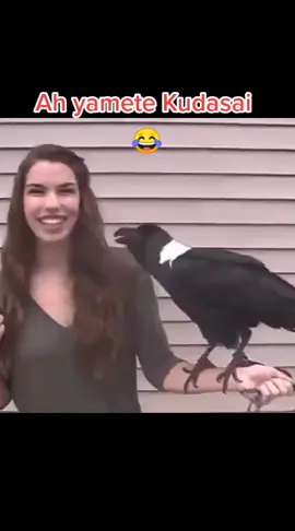 #yametekudasai #humour #humouranime #pourtoi #foryou #weeb #otakuhumour #weebhumour