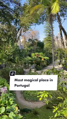 Am I awake or still dreaming? #sintra #tiktokportugal #portugaltiktok #tiktoktravel #traveldiaries