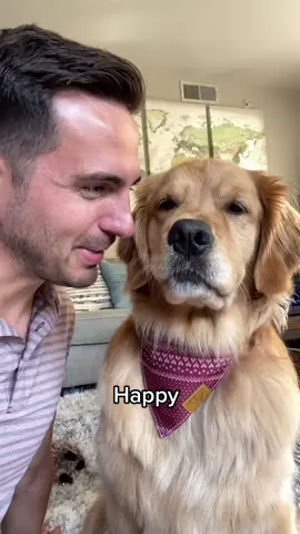 #goldenretrieverlife #acting #dog