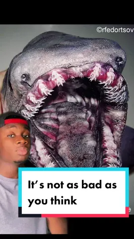 Like I said, nature put all its rough drafts in the ocean and thought we wouldnt notice #shark#scary#ocean