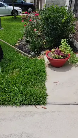 #lawn #lawncare #grass #landscaping