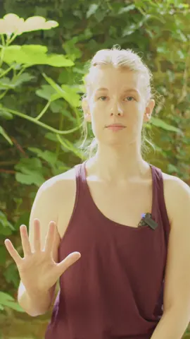 Try this before your movement practice.  #breathestudiotv #virtualstudio #breathe #ondemandfitness #breathexercise #slowdown #yoga #boxbreath #mind