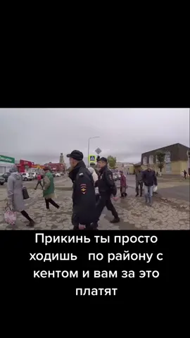 #топ #мвд #ппс #полиция #АлисаЛайт