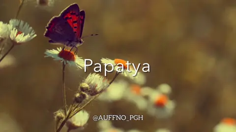 🌼🦋#kesfettttttt #kesfetdeyik  #kesfet #keşfett #azərbaycan #qurban #türk #keşfet #muzik #keşfetteyizzz #sabr #fyp #fypシ