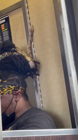 Guy across from him turned to stone when seeing this. Just kidding, he was already stoned [bad Medusa joke] #subwaycreatures #fyp #foryourpage #nyc