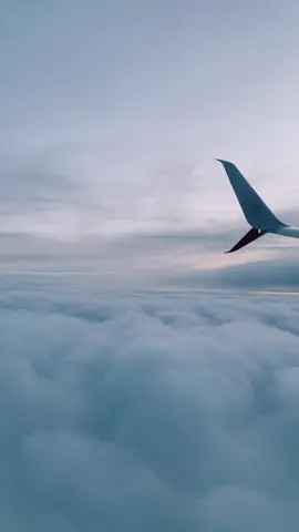 Cancun Draft 🥲🥲 #fyp #foryou #Summer #vibes #vacationmode #vacation  #cancun #mexico #fun #trip #miss #LiveFlowSweatDuet #TheSuicideSquadMovie