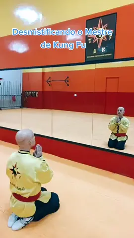 TSKF Kung Fu #tskf #kungfu #wushu #louvaadeus #prayingmantis  #artesmarciais #shaolin #saude #humor #meme #efeitosdevoz #beggin