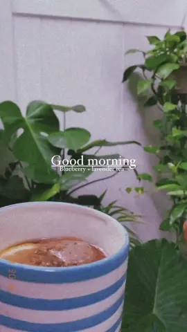 #plantlife #plantlifestyle #garden #plantlover #plantsoftiktok #plantsmakepeoplehappy #plantcare #plantselfcare