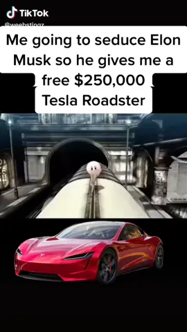 You gotta do what you gotta do. #tesla #modelx #elonmusk