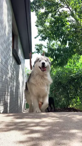 Enjoy gunners 🥜 #WelcomeBack #ChiliDogYumPlz