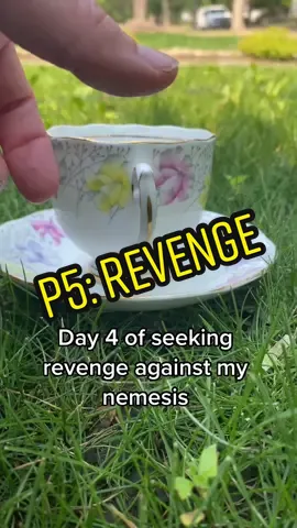 P5: meet....the menacing swan!!