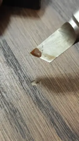 How to fix a dent on the floor in 1 minute? #TheRestorer #DIY