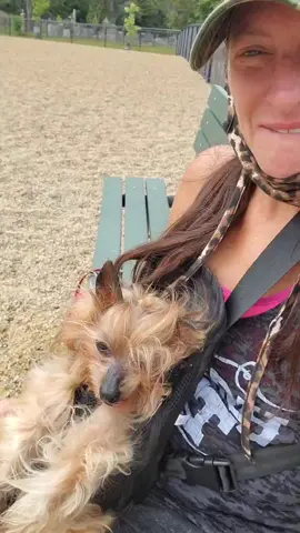 Hanging out #fyp #fy #dogpark  #rescuedogs #adopt #grumpydog