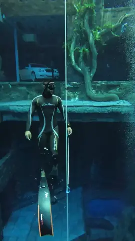 The world deepest swimming pool. Such an amazing experience 😍🧜🏾 #fyp #foryou #viral #adventure #mydubai
