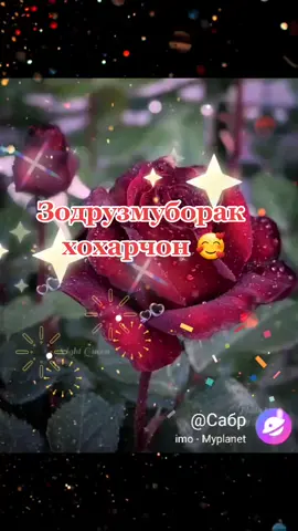 #переписка @shabnam.002 зодруз муборак хохарчон бародарон хамакаса як хохараки мара ай номи ма табрик кнен 🥰💕🤗🤗🥰🥰🥰💕🤗💕🥰🤗💕🥰🤗🤗💕🥰🥰🥰🤗