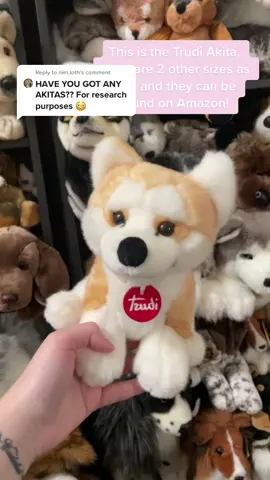 Reply to @nim.loth #primeshiba #SummerMashup #dogs #collectionroom #doglover #plush #akita #DontQuitYourDaydream #stuffedanimals