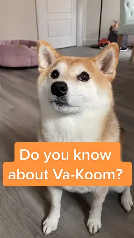 It’s a public menace! #dogsoftiktok #friends #dogtok