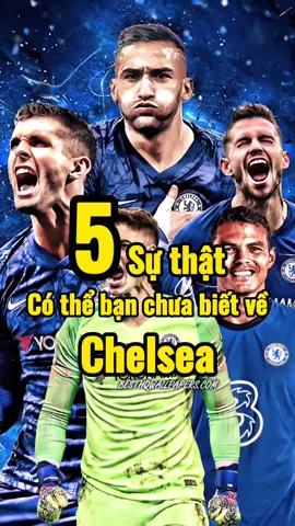 5 sự thật về CLB Chelsea#bongda #bongdatv360 #chelsea #TikTokDieuKy #onhaxemtin