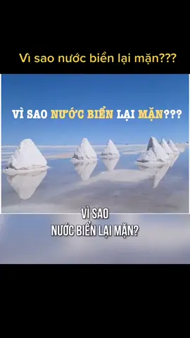 Vì sao nước biển lại mặn 🤔🤔🤔 #ONhaVanVui #TikTokDieuKy #LearnOnTikTok #hoccungtiktok #hoathaybinh