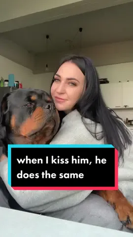 when I kiss him, he does the same #gangrottie #kiss #kisser #thatface #rottweiler #Love #rottimom #cutedog #amazing #insane